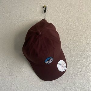 Patagonia Fitz Roy Icon Cap